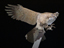 356_5627_edited