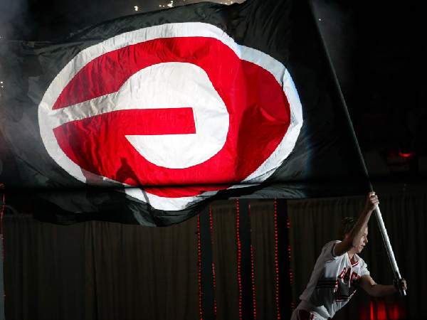 100_8870_UGA_flag_edited