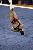 405_0548_Cory_edited