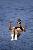 405_0550_Kinsey_edited