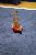 412_1265_BrittanyS_edited