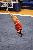 412_1285_BrittanyS_edited