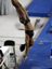100_2969_edited_Adj