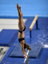 100_2980_edited